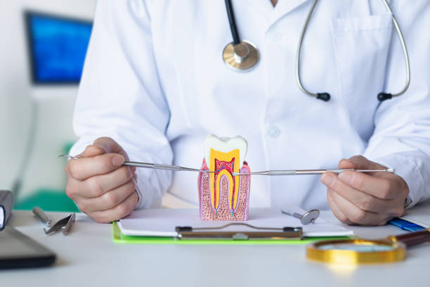 Best Emergency Dental Care for Broken or Chipped Teeth in Homer, IL